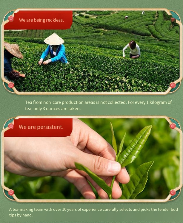 Guizhou Sparrow Tongue Premium Tea Gift Box【300g】