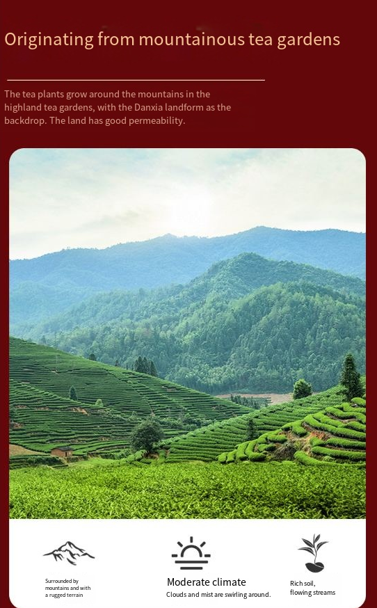 Dragon Soars Across the World 16-Can Set Four Famous Teas + Kiln-fired Teaware + Gift Bag【240g】